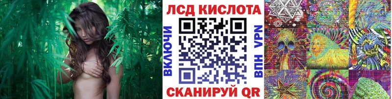ОМГ ОМГ ТОР  где купить   Иркутск  Марки 25I-NBOMe 1500мкг 