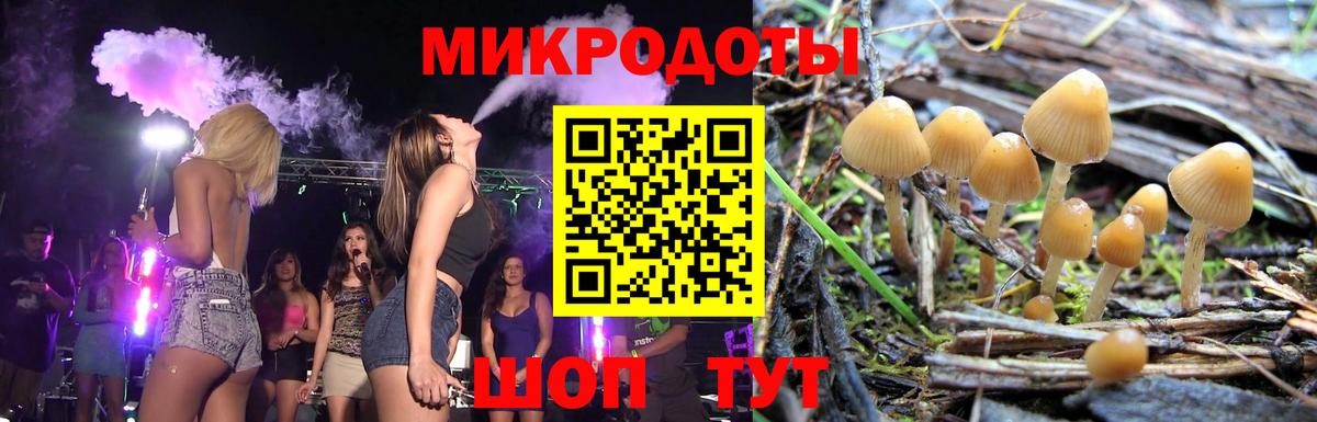 Псилоцибиновые грибы ЛСД  Вход с VPN  Иркутск  где купить наркотик  Галлюциногенные грибы мицелий 